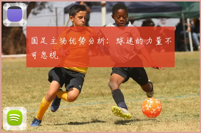 国足主场优势分析:球迷的力量不可忽视