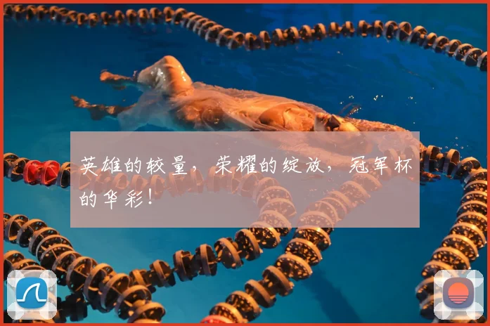 英雄的较量，荣耀的绽放，冠军杯的华彩！